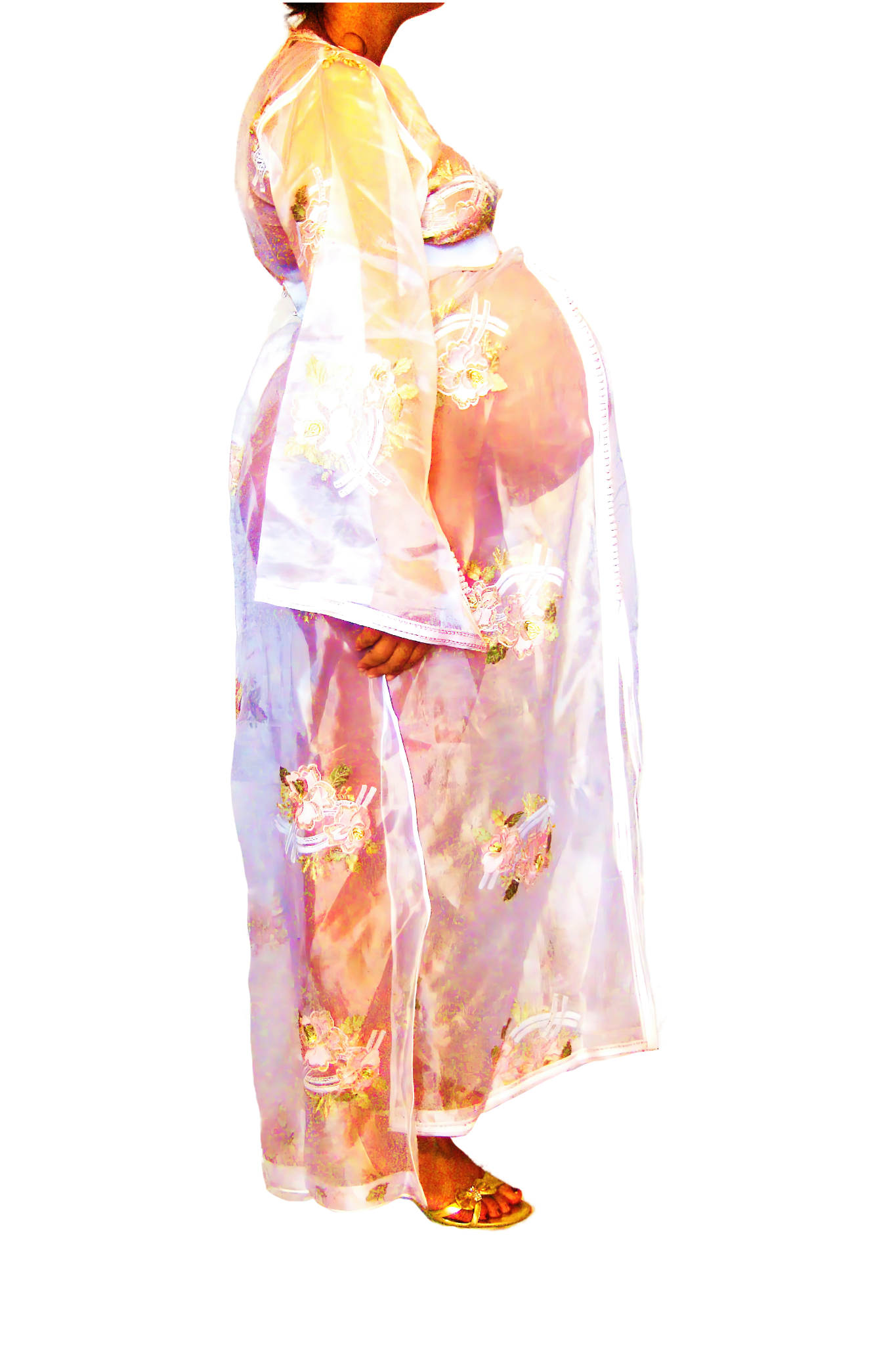 Le Corps Pansant - 2009